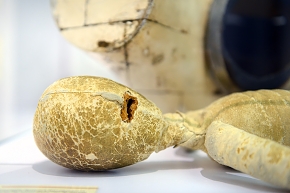 musee flaubert et de histoire de la medicine rouen 10-2021 0287
